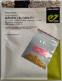 Огірок Бйорн F1 Enza Zaden 50 нас ЗІП