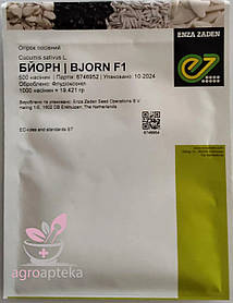 Огірок Бйорн F1 500 нас Enza Zaden