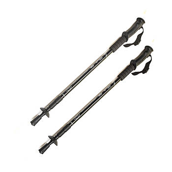 Палиці палки для скандинавської ходьби 2 шт. (пара) складні телескопічні Gemini Anti-shok трекінгові антишок Чорний