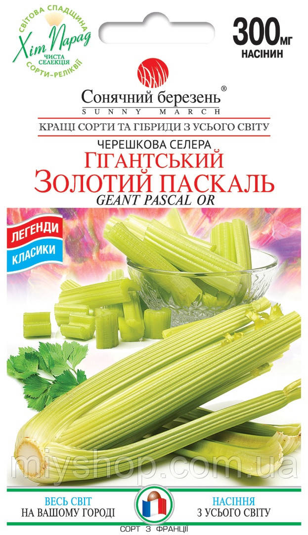 Селера черешкова Гігантський Золотий Паскаль 300 мг Сонячний березень, фото 1