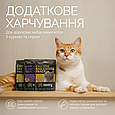 Хрумкі ласощі для кішок Savory Cats Snacks Pillows Gourmand з куркою та сиром, 180 г, фото 4