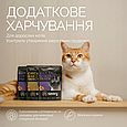 Хрумкі ласощі Savory Cats Snacks Pillows Hair Ball Control для дорослих котів, подушечки для виведення шерсті, 180 г, фото 4