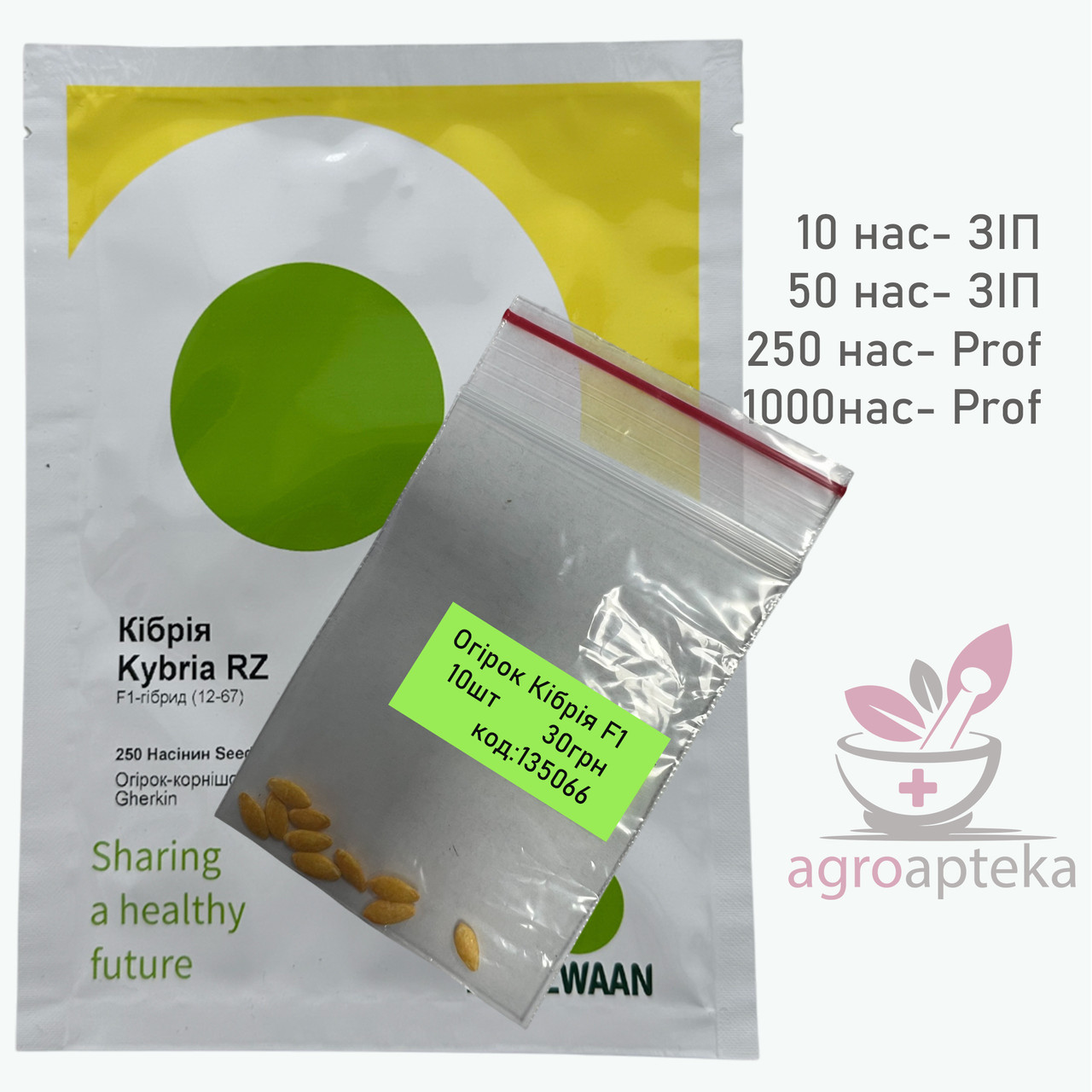 Огірок Кібрія F1 Rijk Zwaan 10 нас ЗІП, фото 1