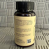 Арджуна 120таб 439мг Для Серця. Джива Jiva Індія. Термін до 06/2028, фото 3