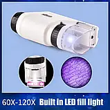 Дитячий портативний мікроскоп з LED підсвіткою, фото 3