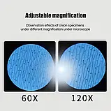 Дитячий портативний мікроскоп з LED підсвіткою, фото 5