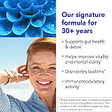 Biocidin Botanicals, Biocidin®, підтримка мікробіома, руйнування біоплівки, широкого спектру дії, 90 капсул, фото 4