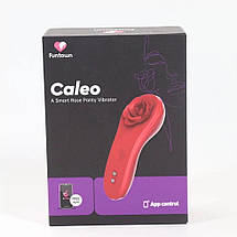 Смарт-вібратор у трусики Fun Town Caleo, надійне кріплення на магніті, фото 4