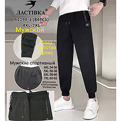 Чоловічі спортивні штани на флісі "Фабричний Китай" (2 кольори в упаковці) Розміри: 52,54,56,58 (11243)