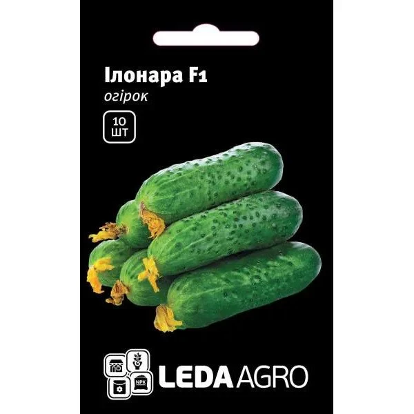 Насіння огірка Ілонара F1, 10 насінин — ультраранній гібрид (40-45 днів), партенокарпик. LEDAAGRO