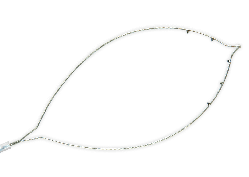 Поліпектомічна петля для тракції (220 см)