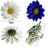 Штучні квіти букет ромашки Колор, 59см, фото 5