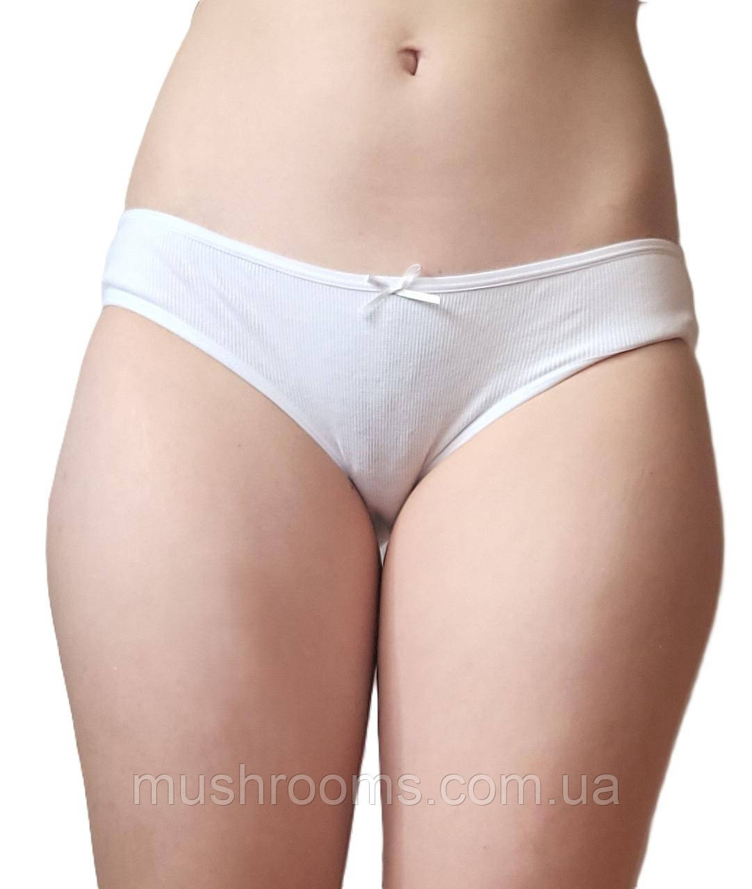 Труси підліткові для дівчаток р. 6 158-164 см Baykar турецькі трусики для підлітків дівчат бавовна в рубчик, фото 1