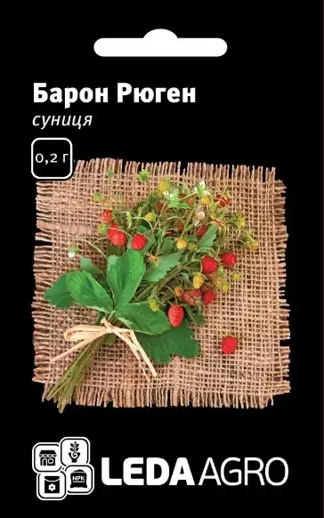 Насіння суниці Барон Рюген, 0,2 г, LEDAAGRO