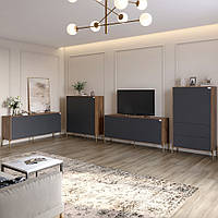 Комплект меблів для вітальні Lion Амарант 4 елементи Дуб Ліворно/Графітовий (LION-042358), 8929749 - 896