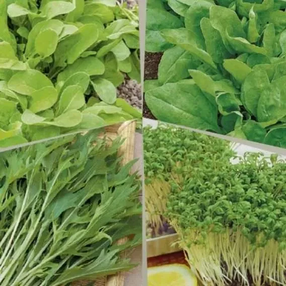 Зеленні культури Знахідка гурмана (суміш), 5 г, Садиба