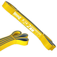 Еспандер-петля (гумка для фітнесу і кроссфіту) PowerPlay 4116 Double Colors Жовто/Сіра (5-14 кг)