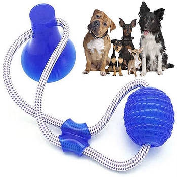 Іграшка для собак м'яч на мотузці з присоск EL-1126, Синя / Багатофункціональна іграшка для вихованців