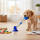 Іграшка для собак м'яч на мотузці з присоскою EL-1126, Синій / Гумова жувальна іграшка / М'ячик для тварин, фото 2