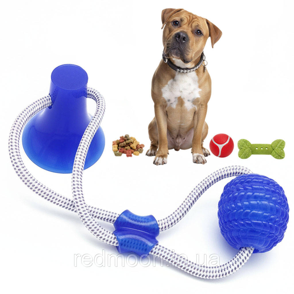 Іграшка для собак м'яч на мотузці з присоскою EL-1126, Синій / Гумова жувальна іграшка / М'ячик для тварин, фото 1