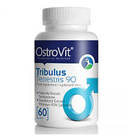 Tribulus Terrestris 90 OstroVit 60 caps