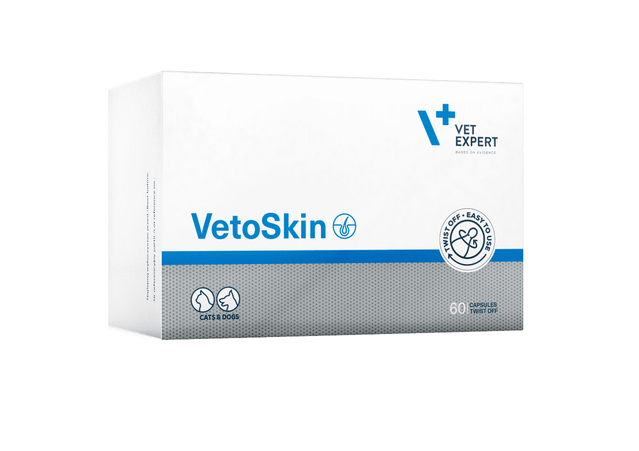 Ветоскін вітаміни для котів і собак для здоров'я шкіри ВетЕксперт 60 капсул VetExpert VetoSkin, фото 1