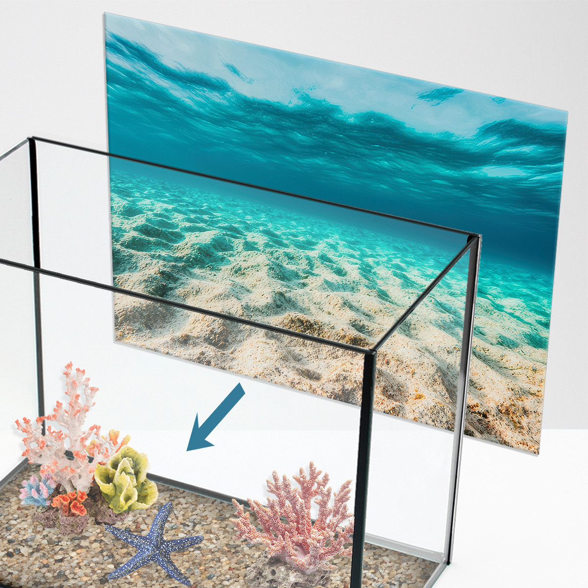 Наліпка для акваріума Піщане узбережжя (400х650)