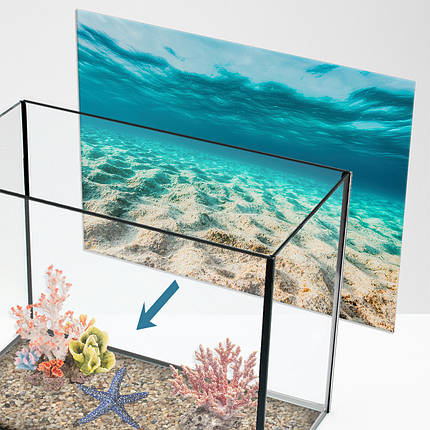 Наліпка для акваріума Піщане узбережжя (400х650), фото 1