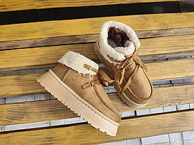 Жіночі зимові черевики-уггі РУДІ CAMEL UGG на платформі зі шнурками з манжеткою осінь, фото 3