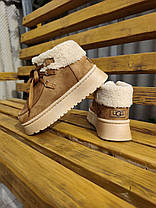 Жіночі зимові черевики-уггі РУДІ CAMEL UGG на платформі зі шнурками з манжеткою осінь, фото 5