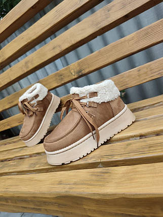 Жіночі зимові черевики-уггі РУДІ CAMEL UGG на платформі зі шнурками з манжеткою осінь, фото 1