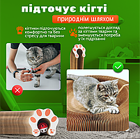 Кігтеточка-трансформер для котів картонна гармошка з м'ячиком, фото 2