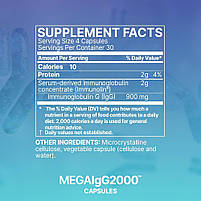 Microbiome Labs Mega IgG 2000 / Mega IgG2000 / Мега IgG 2000 Мега Імуноглобулін 120 капсул BX184, фото 2
