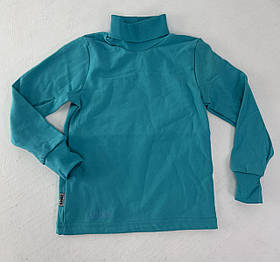 Дитячий светр з начосом для хлопчика "Класика-2" (10924) GABBI