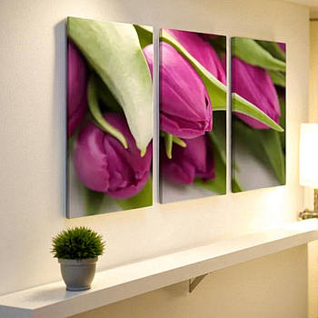 Стильна модульна картина з квітами «Рожеві тюльпани» – набір з 3 частин (триптих) 90х60 см, сучасний настінний декор