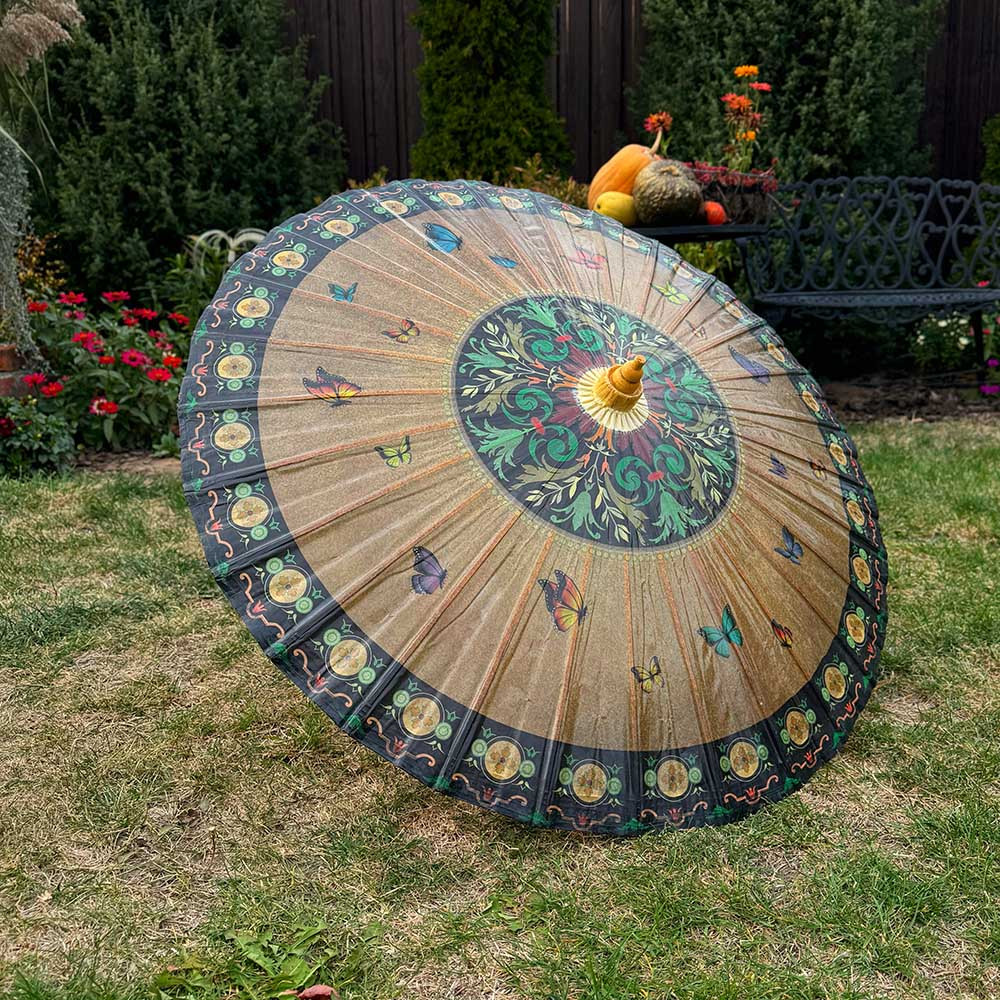 Парасолька для фотосесій Ruoshui | китайська традиційна парасолька з масляного паперу Метелики, фото 1