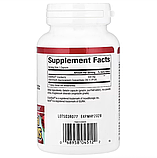 Natural Factors, CranRich®, концентрат журавлини підсиленої дії, 500 мг, 90 капсул, фото 2