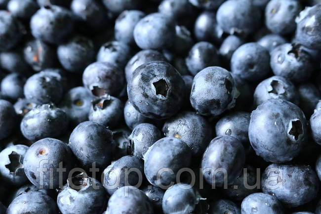 Чорниця екстракт гліцериновий 1л, фото 1