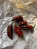 Гострий перець 7 Pot Chaguanas Chocolate насіння, фото 2