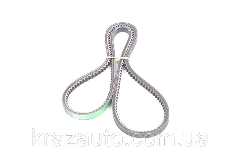 Ремінь клиновий DAF, MAN, VOLVO (вер-во Gates) AVX13x1350HD, фото 1