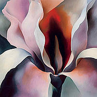 Картина «Абстрактна еротична квітка» Сучасний живопис Друк на полотні Настінний декор для спальні 60х40см, фото 3