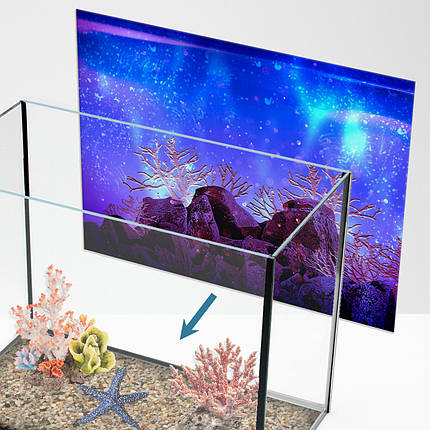 Наклейка в акваріум 3D морське дно, в різних розмірах 40х65 см (650х400), фото 1