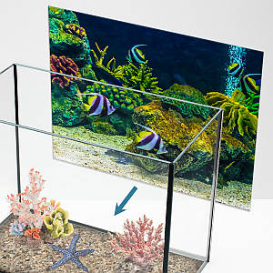 Морський світ під водою на наклейці для акваріума 40х65 см (650х400)