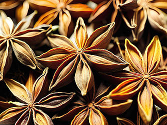 Бадьян екстракт гліцериновий 1л