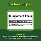 Natural Factors Lactase Enzyme 300 mg 60 капсул, фото 2