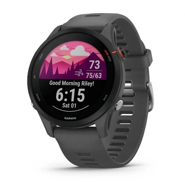 Garmin Forerunner 255 Slate Gray (010-02641-00/10/43) Розумний годинник, фото 1