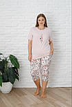 Піжама з капрямами великих розмірів. Nikoletta 36079, фото 2