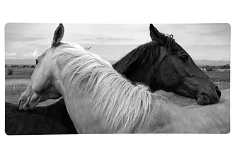 Обігрівач інфрачервоний склокерамічний HGlass IGH 6012 F Basic