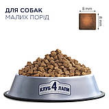 Корм Клуб 4 Лапи для дорослих собак малих порід 14кг, фото 2