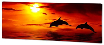 Обігрівач інфрачервоний склокерамічний HGlass IGH 4010 F Basic